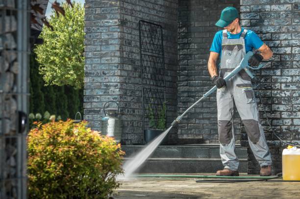 Animal Enclosure Cleaning in East Syracuse, NY
